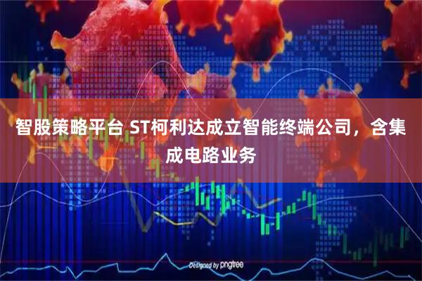 智股策略平台 ST柯利达成立智能终端公司，含集成电路业务