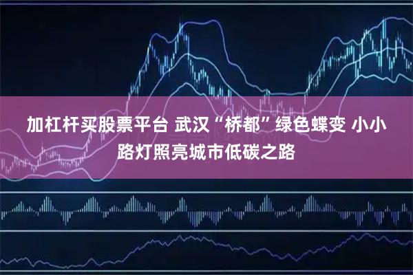 加杠杆买股票平台 武汉“桥都”绿色蝶变 小小路灯照亮城市低碳之路